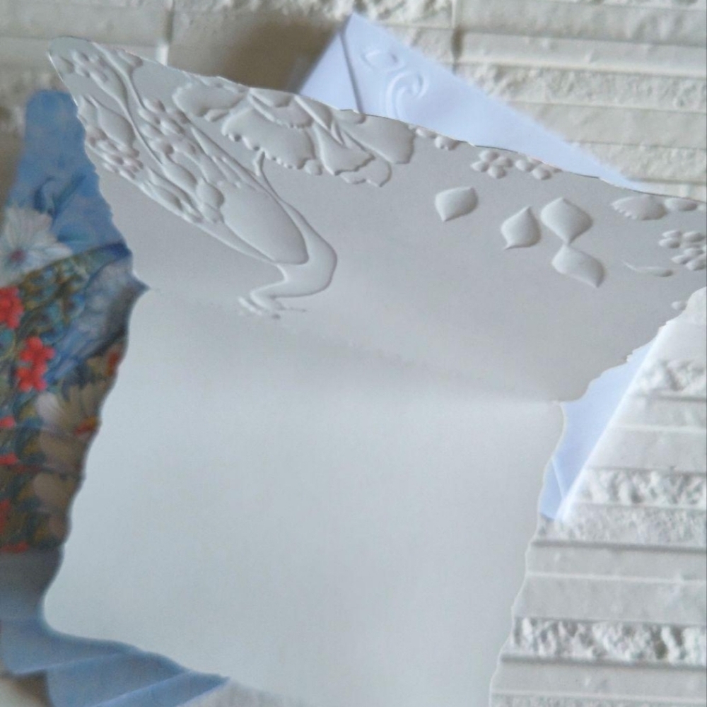🐦Nicole Tamarin Peacock Design Card & Envelope Set (10 of each) with Box - Picture 5 of 6